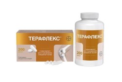 Терафлекс капс. 500 мг+400 мг 200 шт.